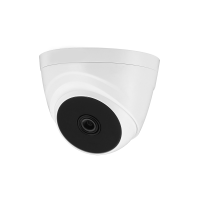 دوربین مداربسته دام ۲ مگاپیکسلی